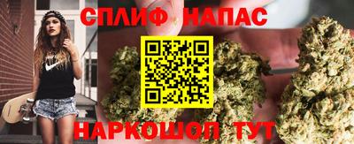 apvp Бийск