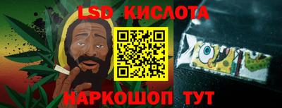 apvp Бийск