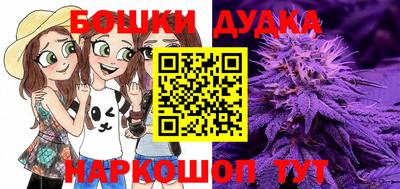 прущие грибы Беслан