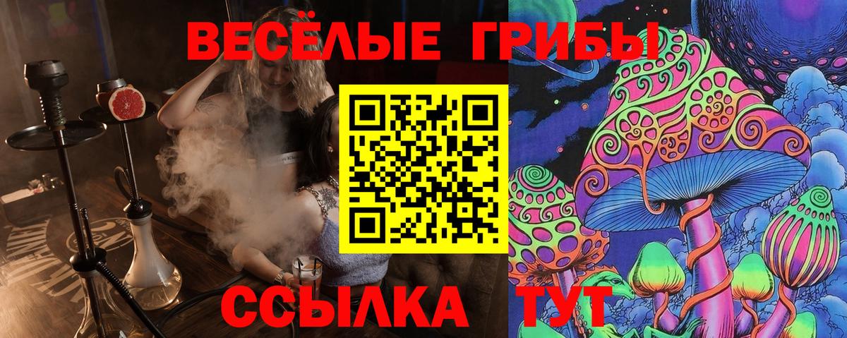 Галлюциногенные грибы прущие грибы  Псилоцибиновые грибы мицелий  Вход с VPN  Гулькевичи 